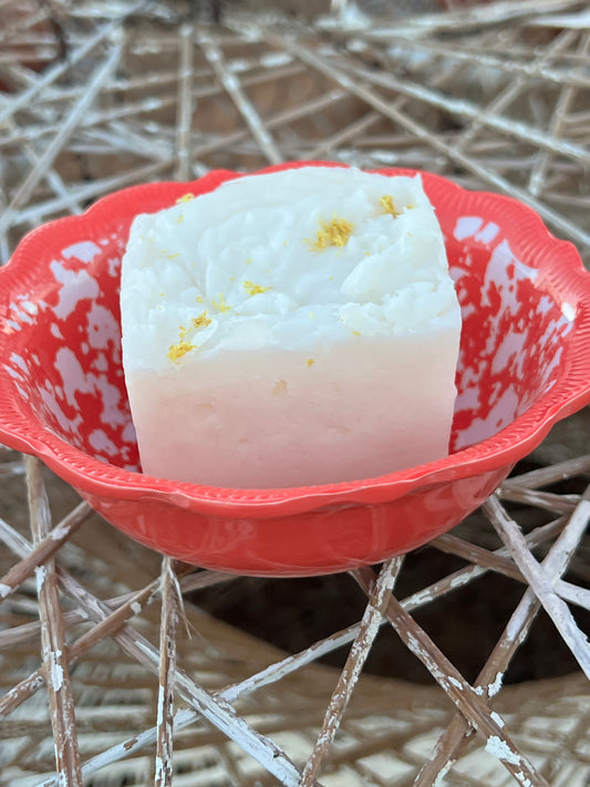 Kitchen Lemon Block Dish Set