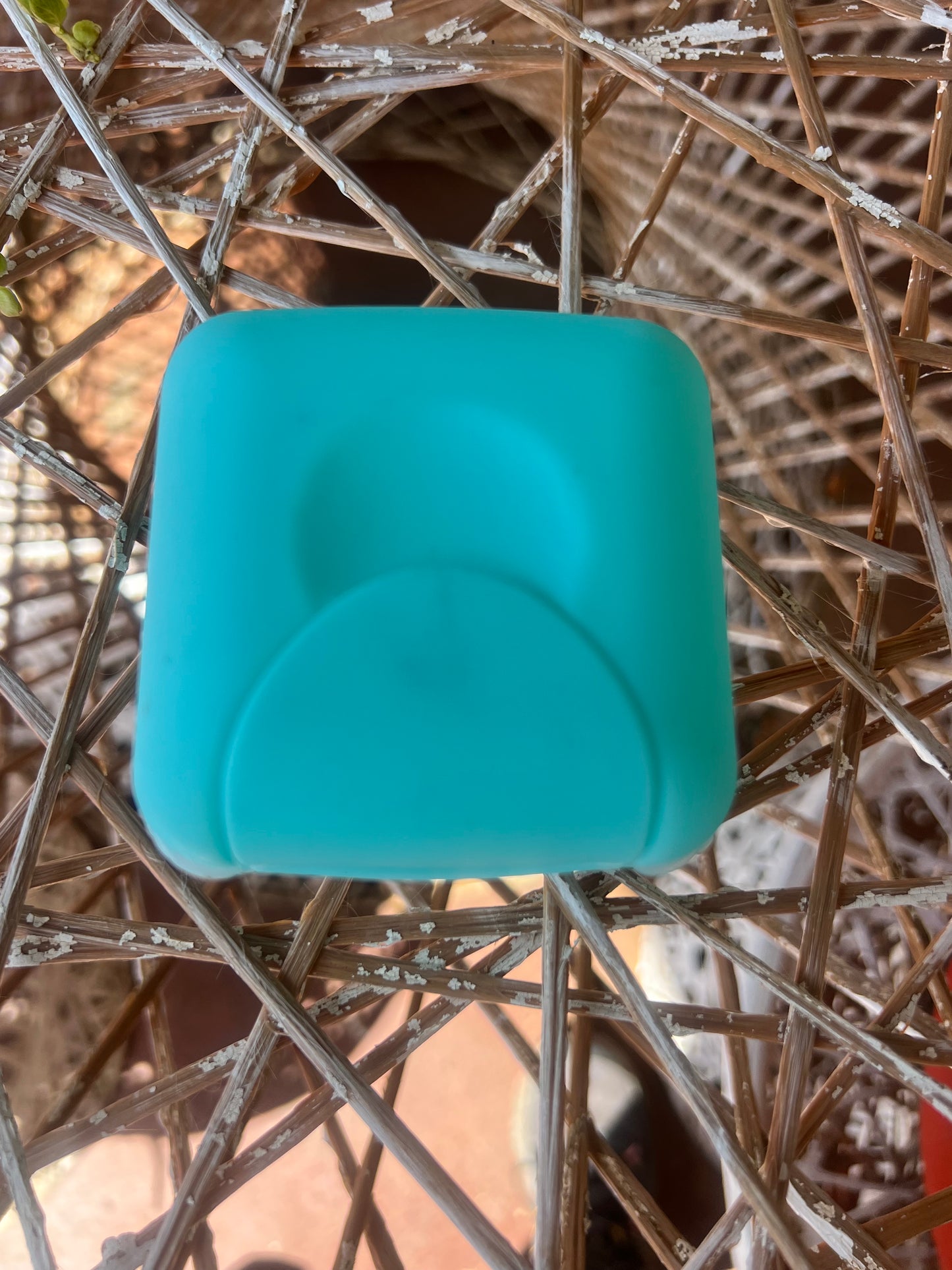 Shampoo and Conditioner Bar Case