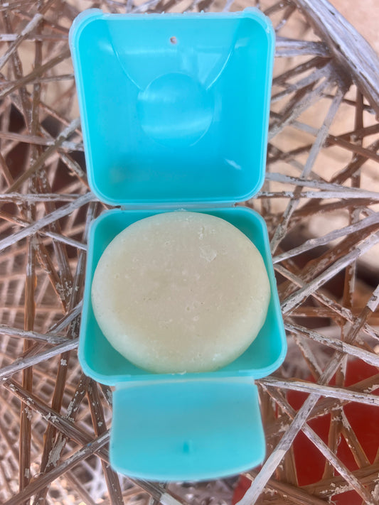 Shampoo and Conditioner Bar Case