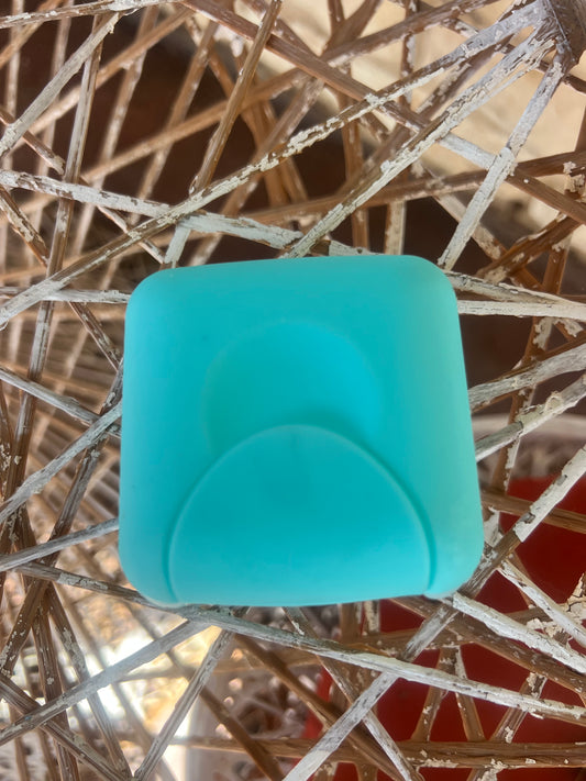 Shampoo and Conditioner Bar Case