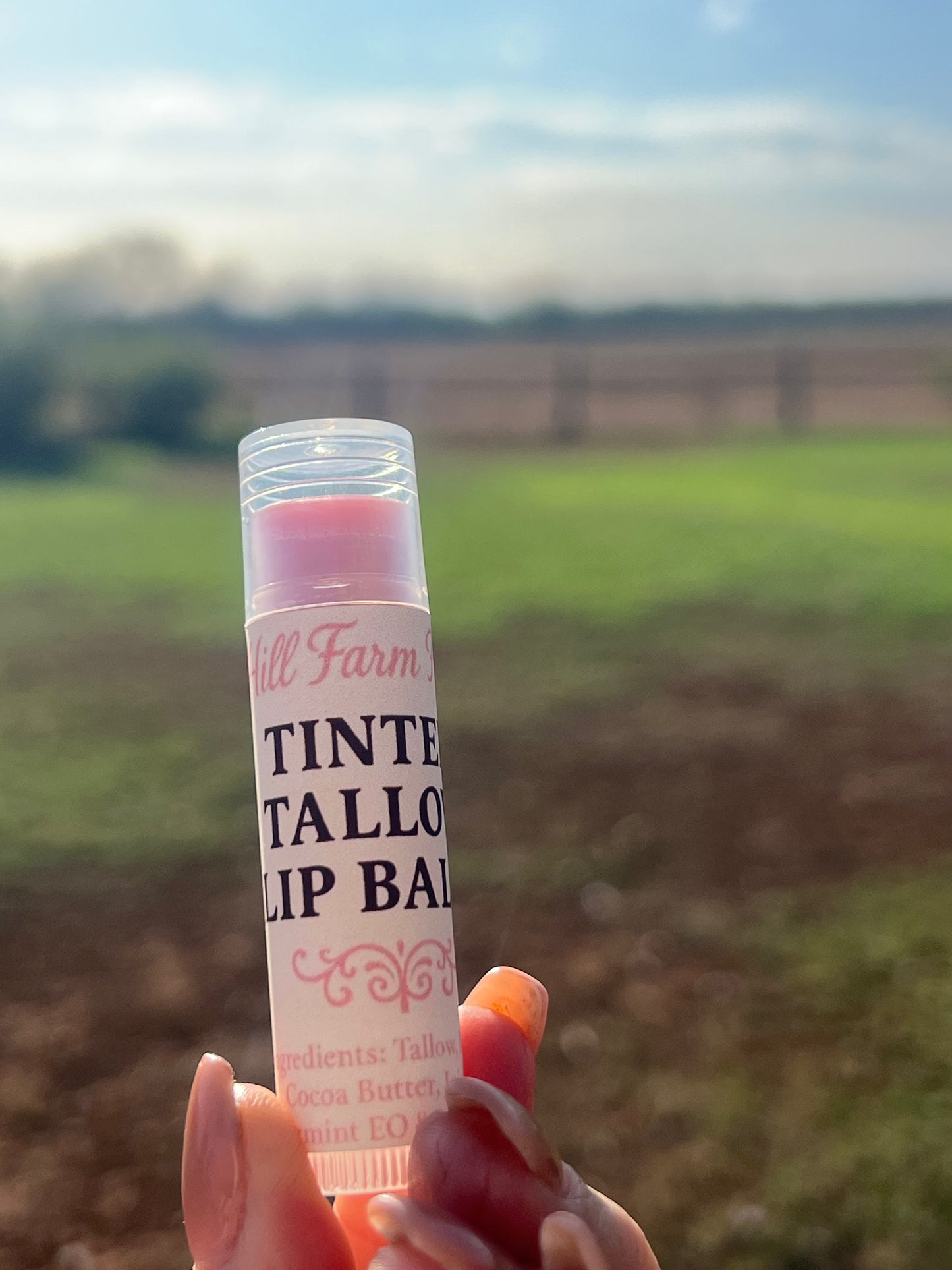 Tinted Tallow Lip Balm