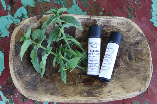 Tallow Lip Balm